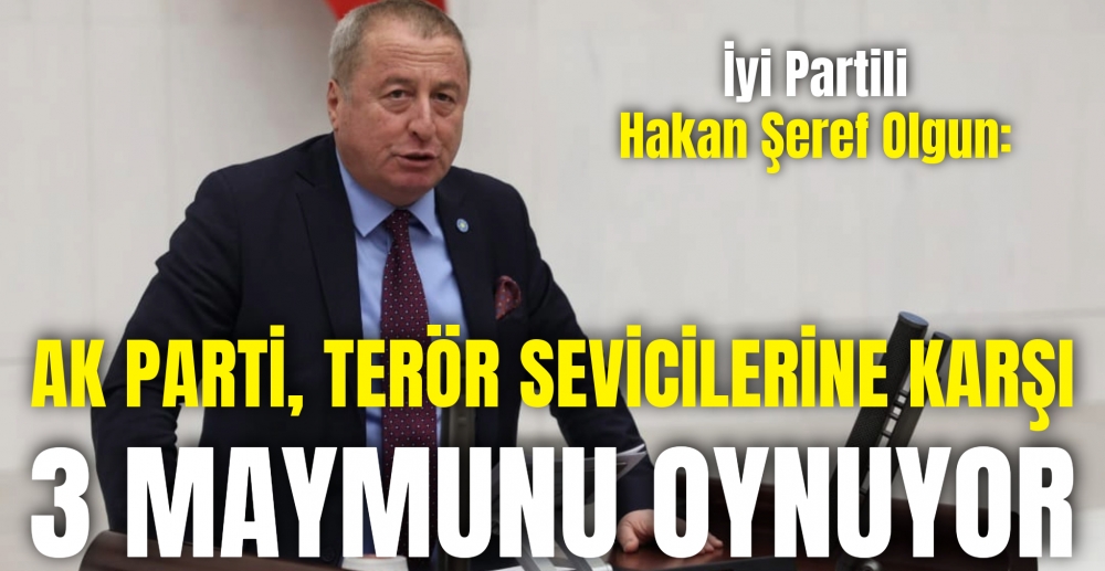 AK PARTİ TERÖR SEVİCİLERİNE KARŞI 3 MAYMUNU OYNUYOR