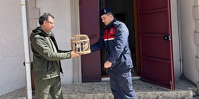 AFYON’DA KAÇAK KEKLİK AVCILARINA SUÇÜSTÜ YAPILDI: KAÇAK AVCILARA CEZA YAĞDI