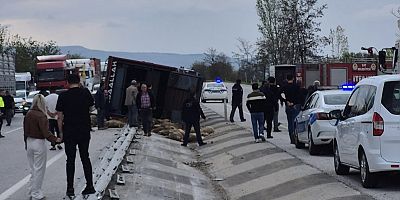 Afyon’da Trafik Kazası: Onlarca Koyun Telef Oldu