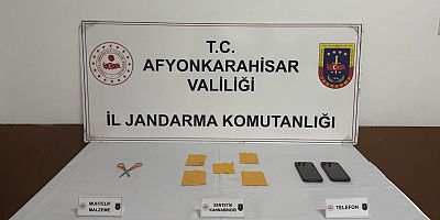 Afyon Sandıklı’da Jandarma Durdurdu: Aracından Binlerce Bonzai Çıktı