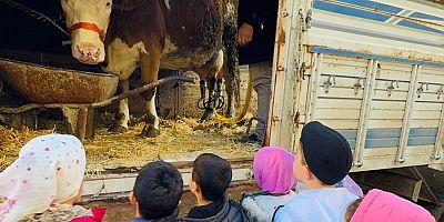 YERLİ HAFTASI’NI OKULA GETİRDİKLERİ ‘İNEKLE’ KUTLADILAR!